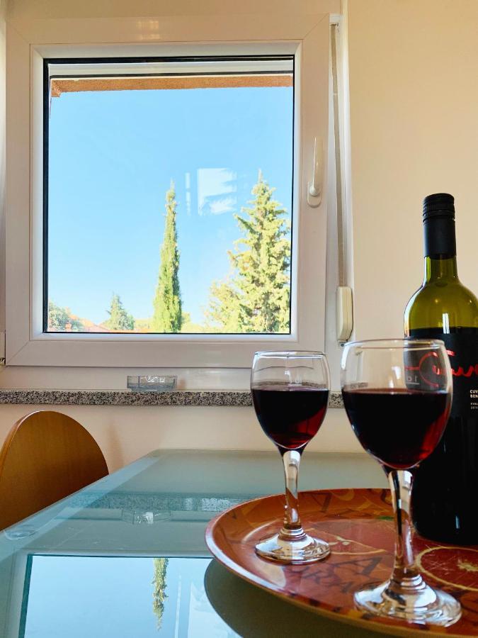 Apartment Solaris *